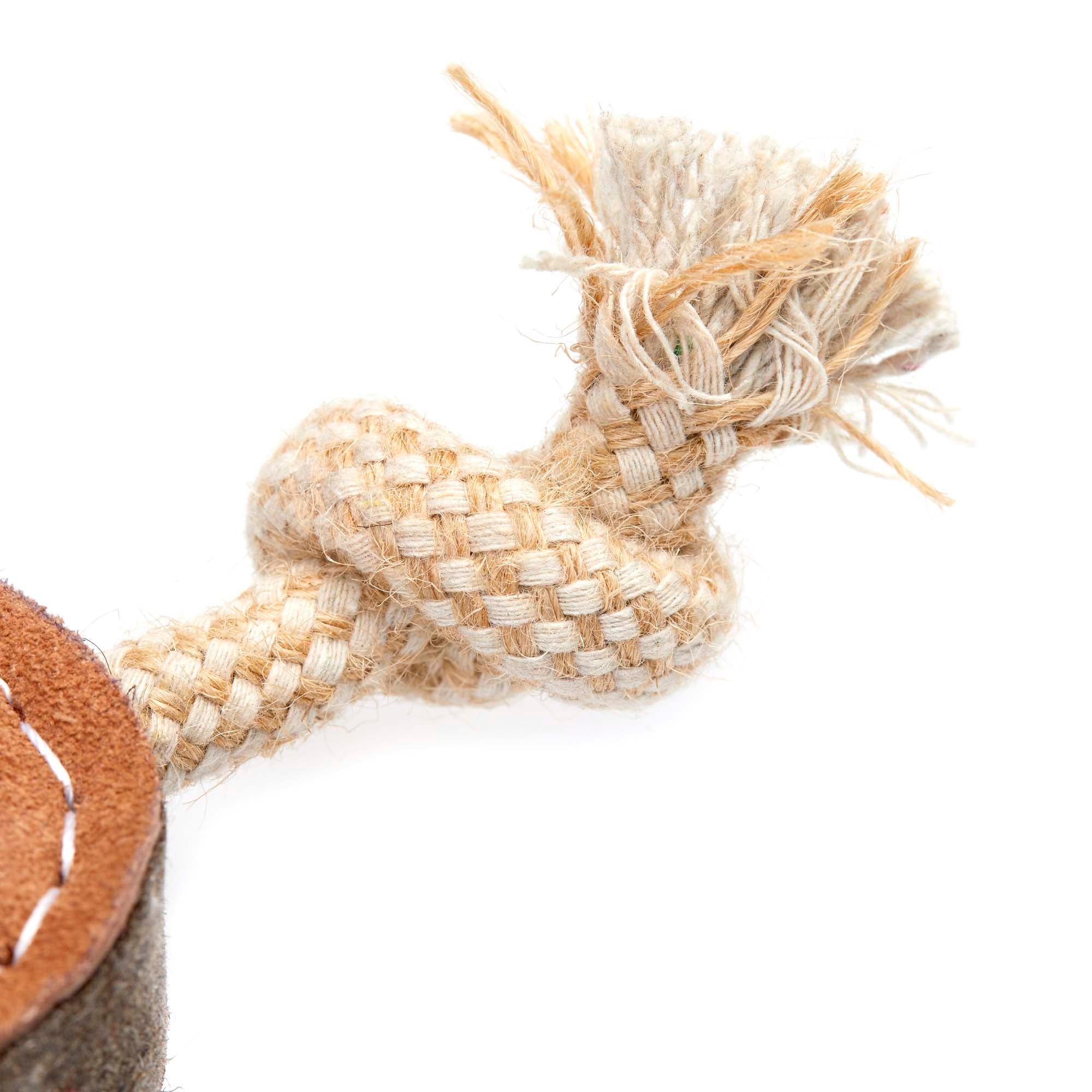 Benny the Boomerang Eco Toy