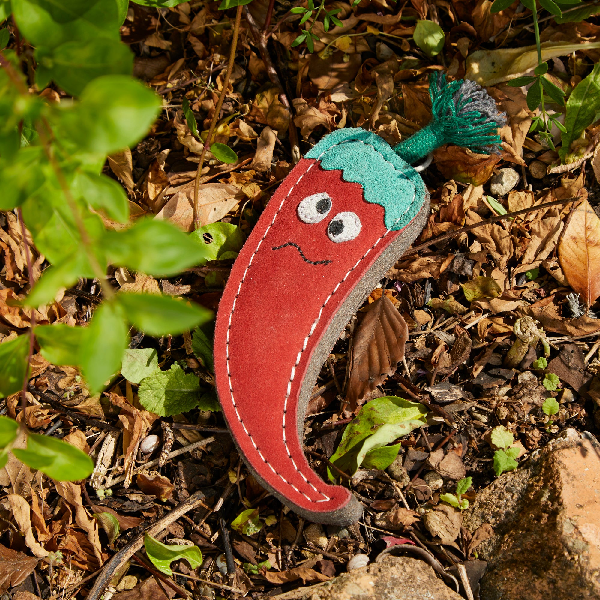 Chad the Chilli Pepper Eco Toy