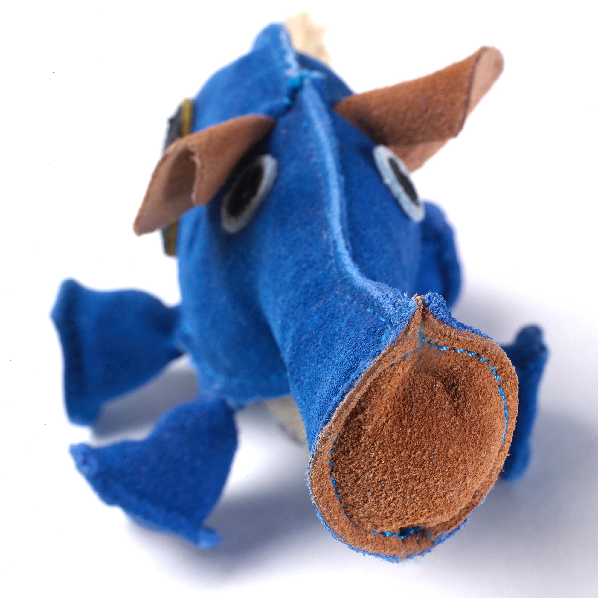 Dino the Dyno Fish Eco Toy