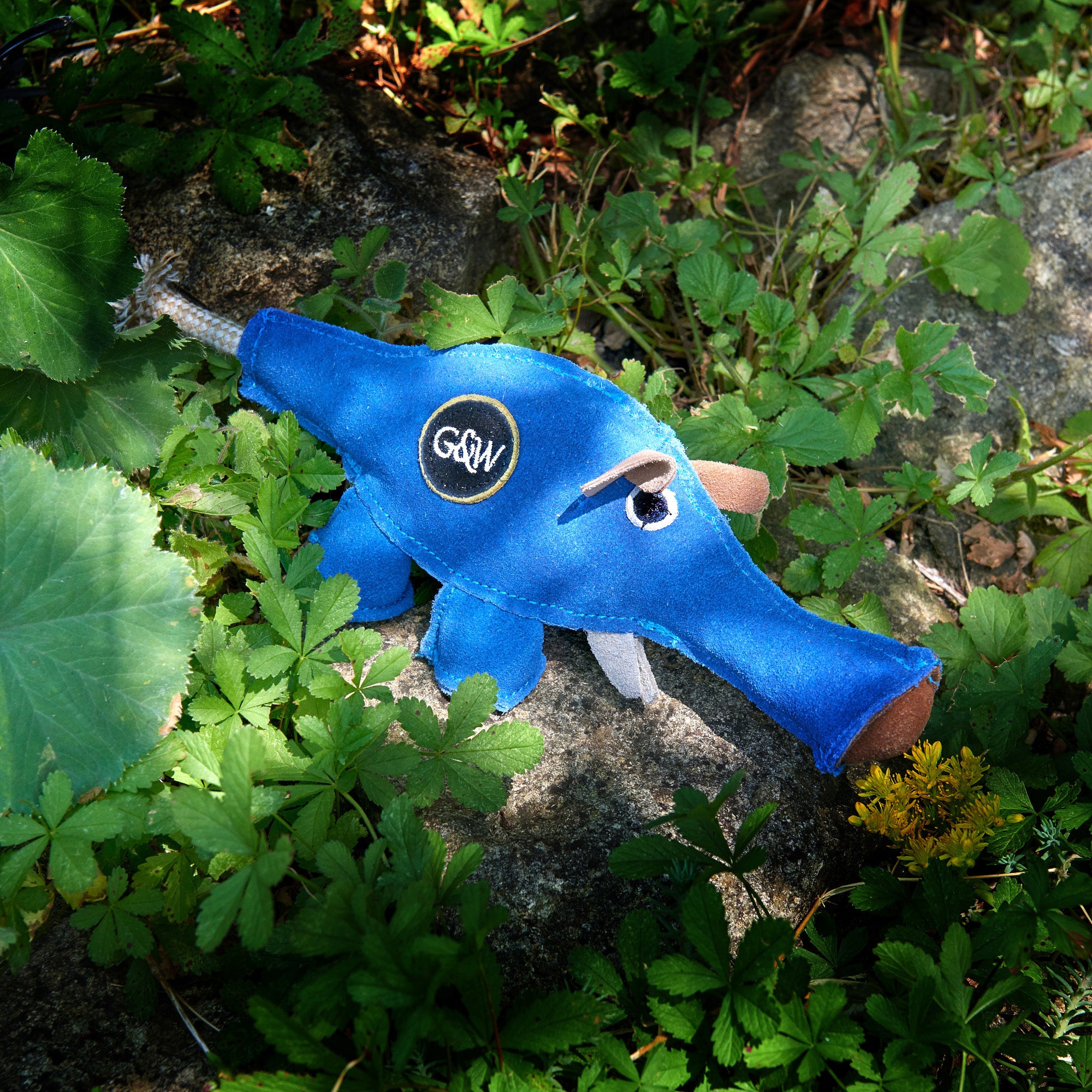 Dino the Dyno Fish Eco Toy