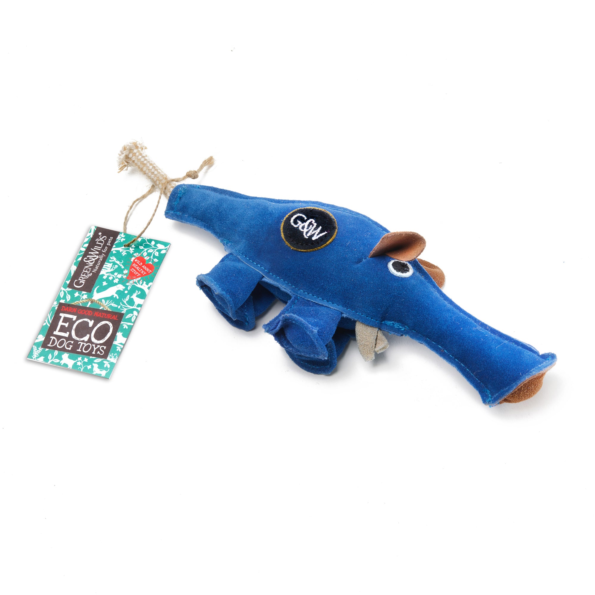 Dino the Dyno Fish Eco Toy