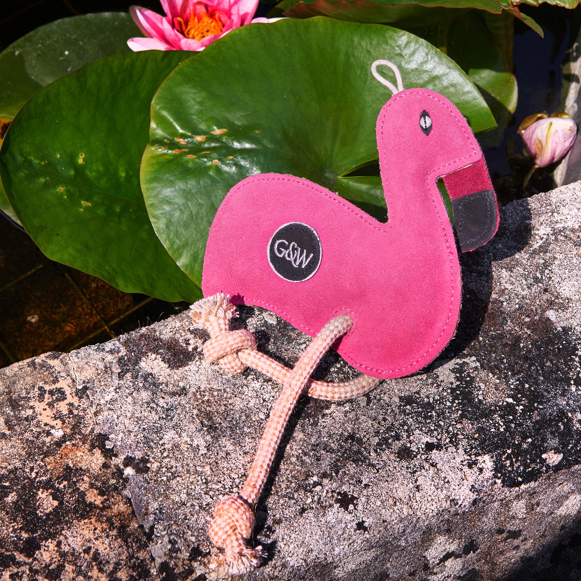 Floyd the Flaming Eco Toy