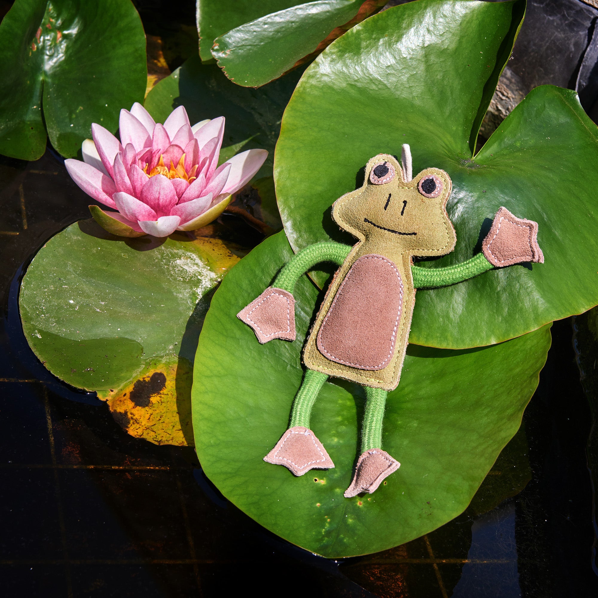 Francois le Frog Eco Toy