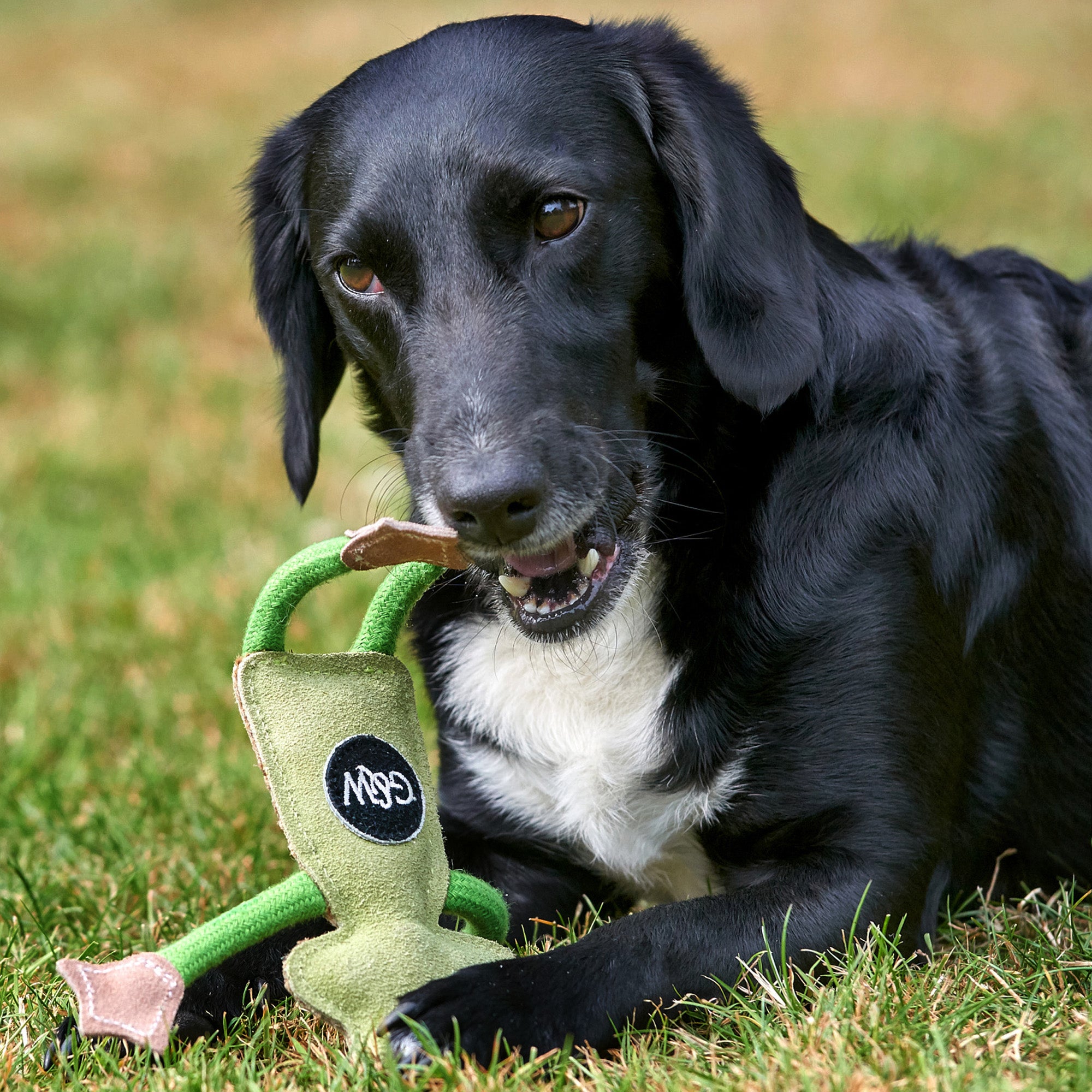 Francois le Frog Eco Toy