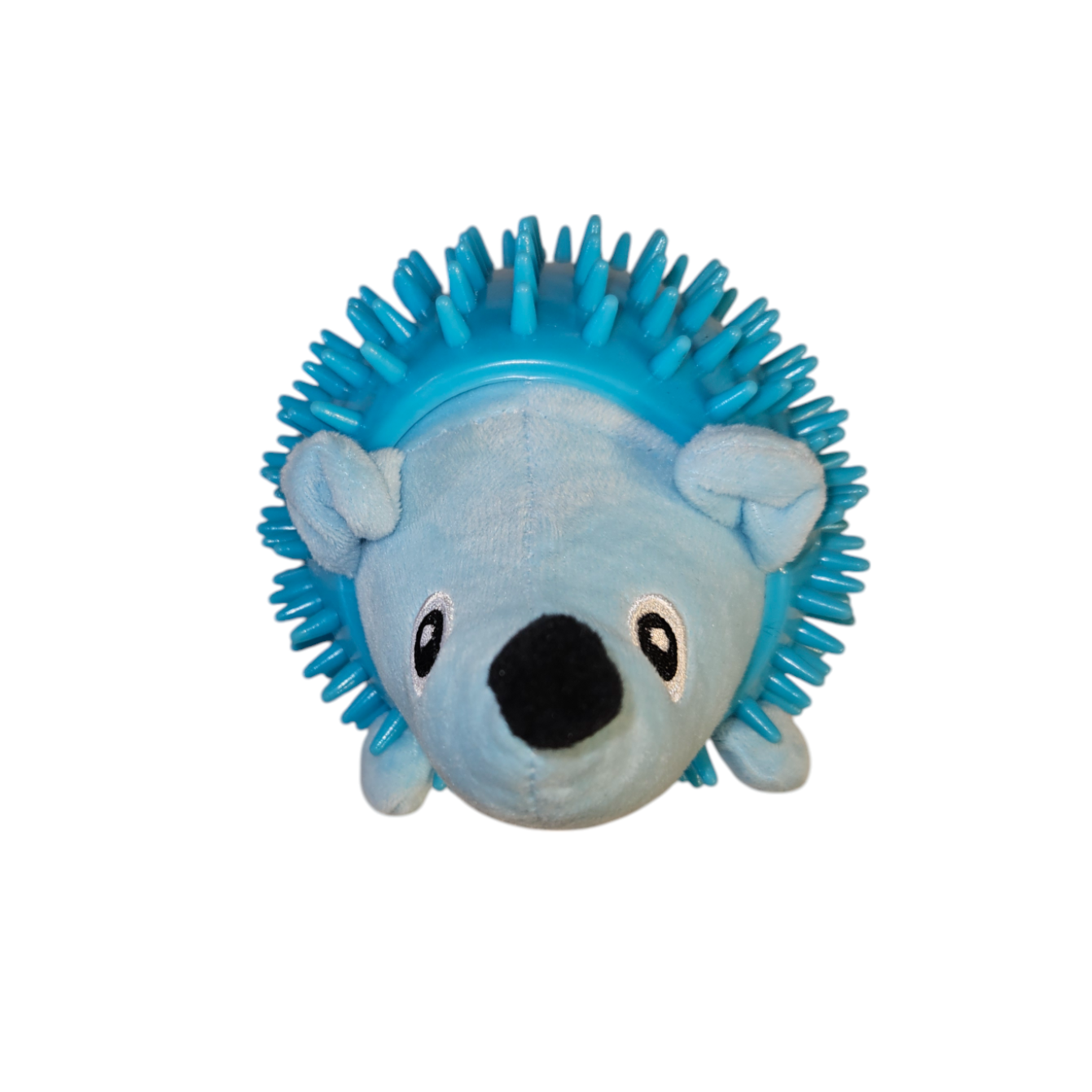 Spiky Hedgehog