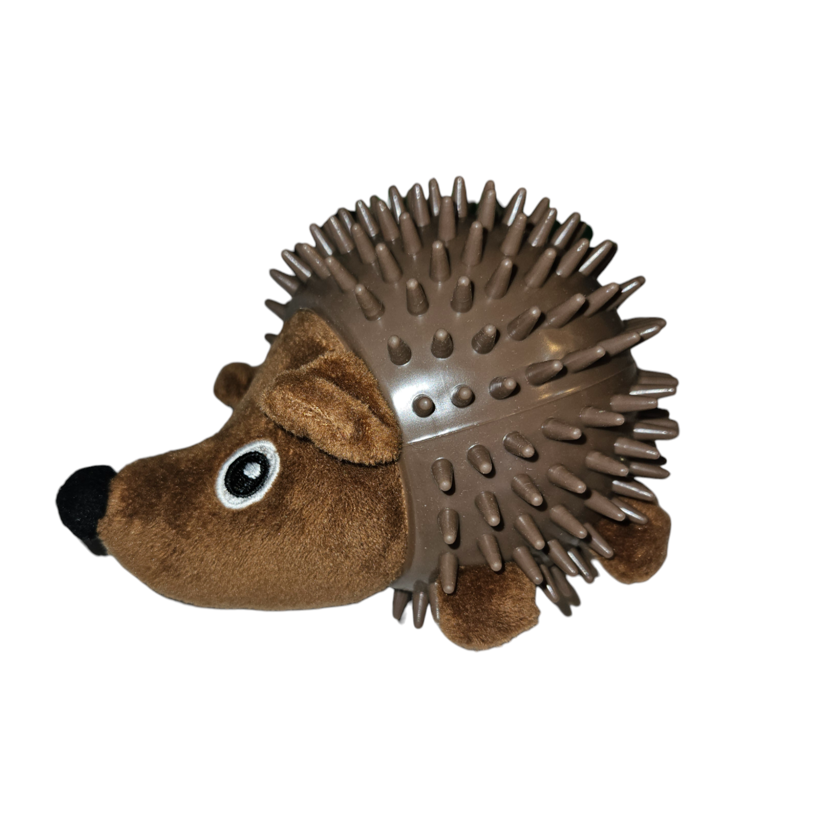 Spiky Hedgehog