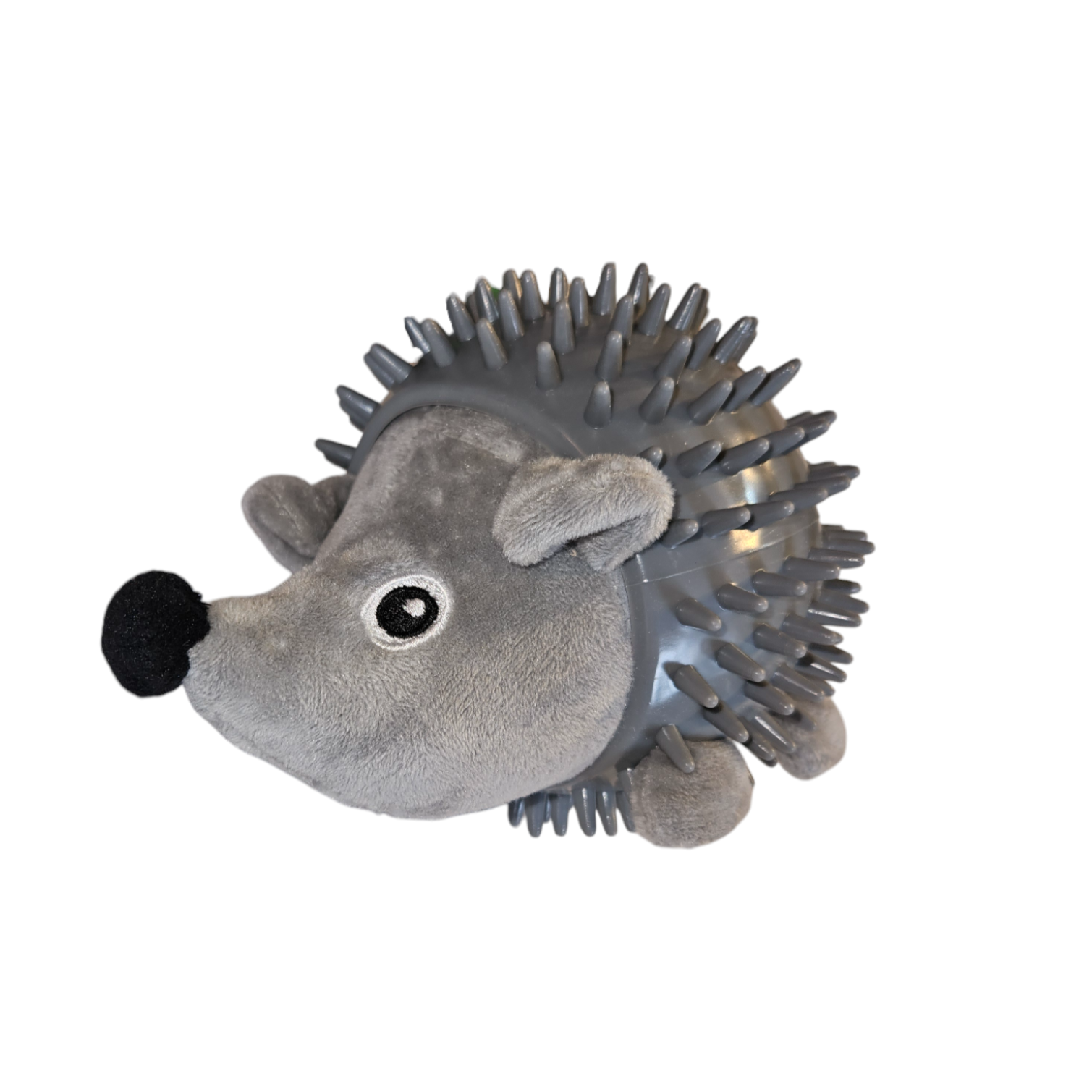 Spiky Hedgehog