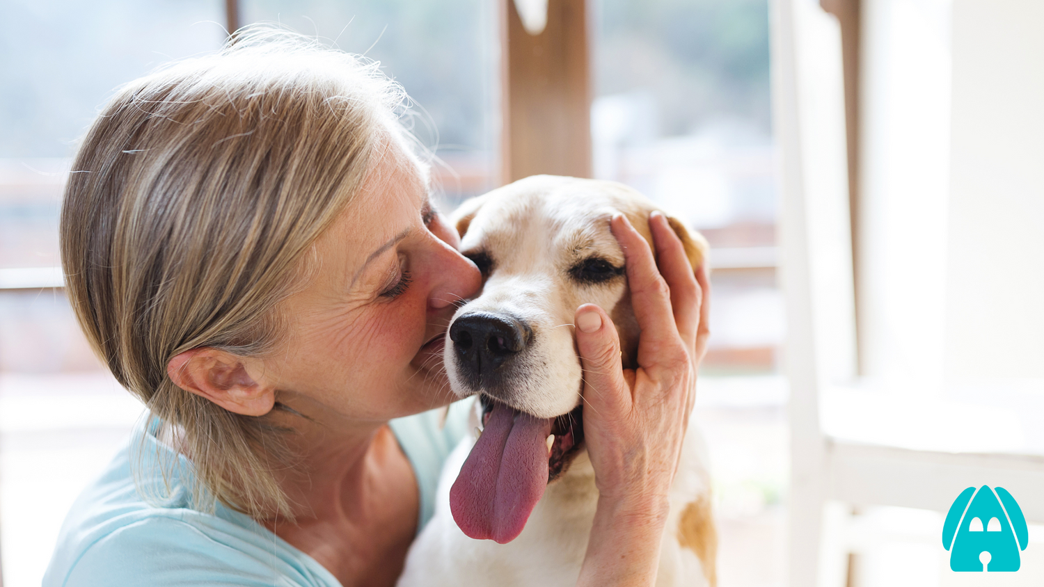 The Secret Language of Dogs: How They Communicate With Us