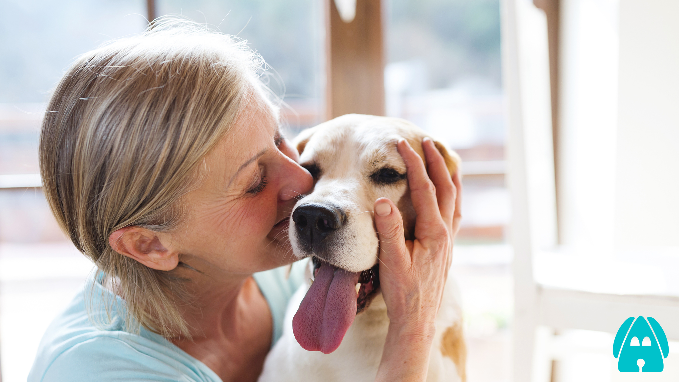 The Secret Language of Dogs: How They Communicate With Us