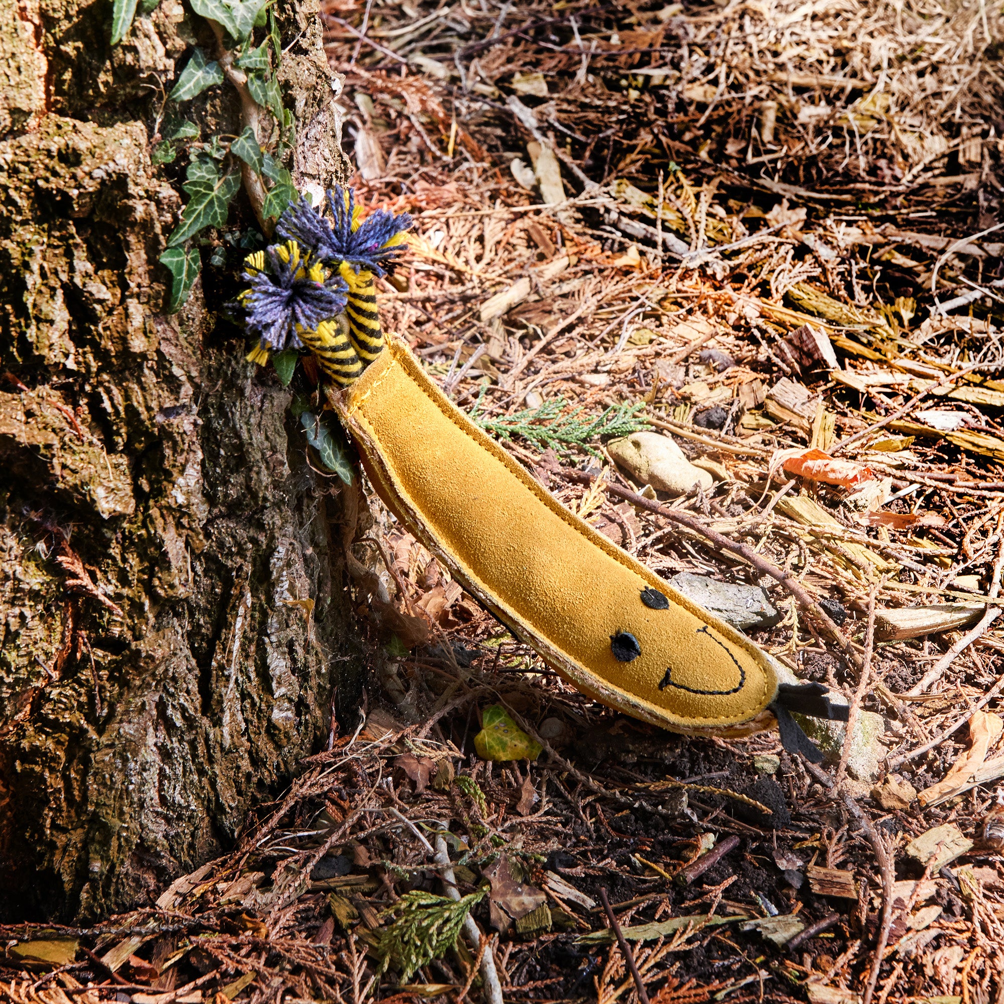 Barry the Banana Eco Toy